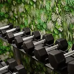 Отель Mamaison Chain Bridge 4*